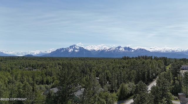 5965 E Wolverine Ave, Wasilla, AK 99654 - photo 4