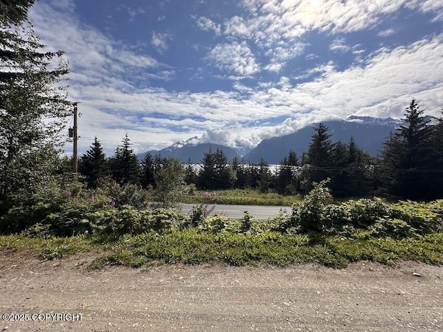 1138 Mud Bay Rd, Haines, AK 99827 - photo 11
