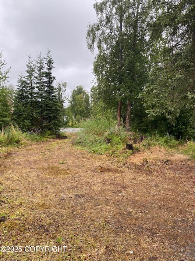 35839 Irons Ave, Soldotna, AK 99669 - photo 10