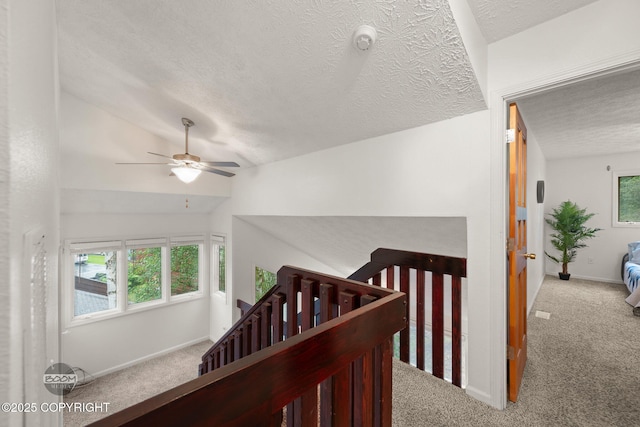 6718 Lunar Dr # J1, Anchorage, AK 99504 - photo 28