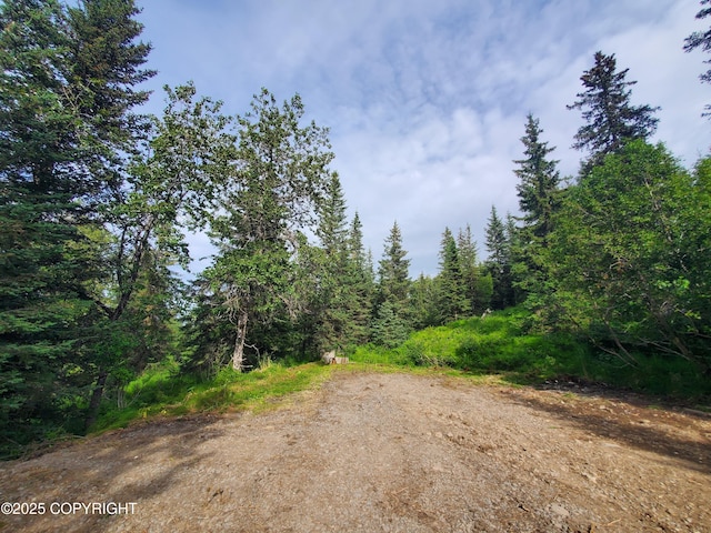 73481 Ann Ct, Anchor Point, AK 99556 - photo 4