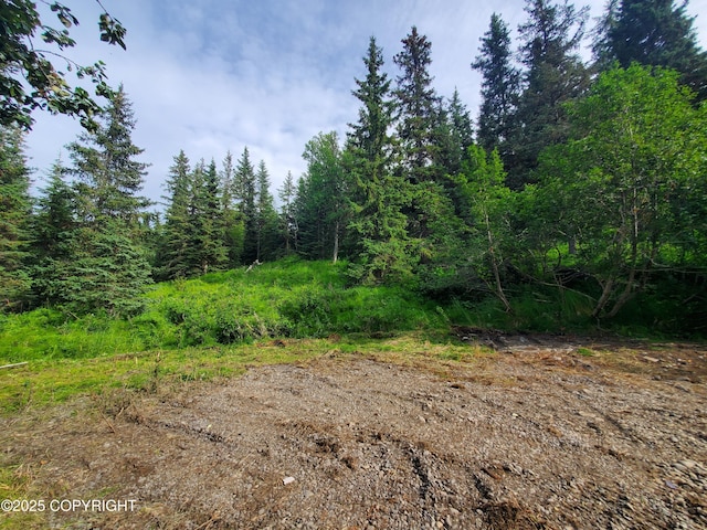 73481 Ann Ct, Anchor Point, AK 99556 - photo 6