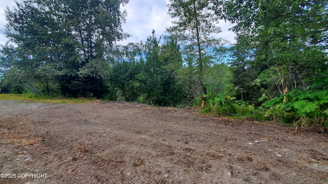 73481 Ann Ct, Anchor Point, AK 99556 - photo 16