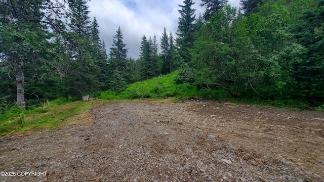 73481 Ann Ct, Anchor Point, AK 99556 - photo 17