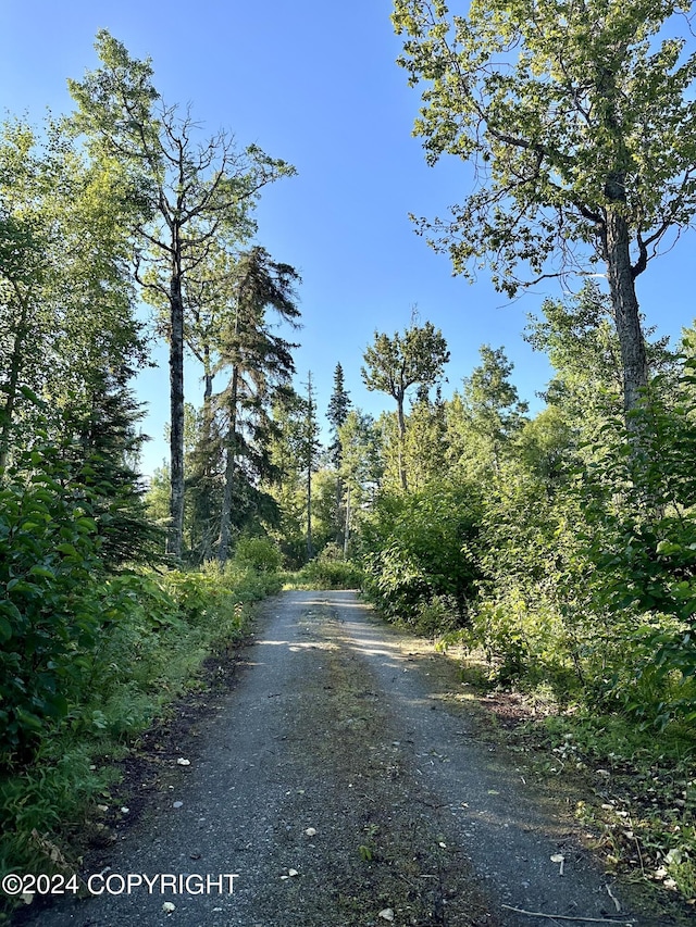 49837 Toloff Rd, Nikiski/North Kenai, AK 99611 - photo 1