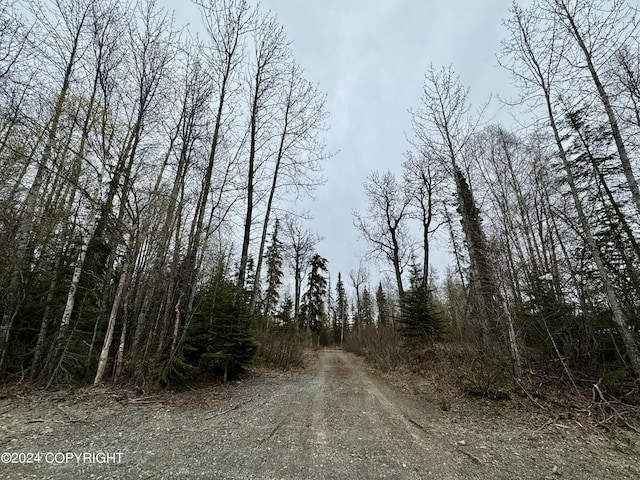 49837 Toloff Rd, Nikiski/North Kenai, AK 99611 - photo 10