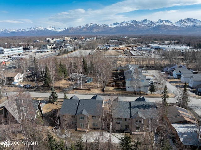 4514 Grumman St, Anchorage, AK 99507 - photo 7
