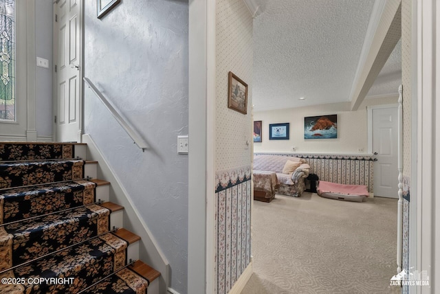 6924 Foothill Dr, Anchorage, AK 99504 - photo 30