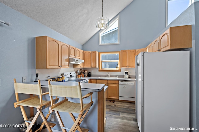 6901 Shane Pl, Anchorage, AK 99507 - photo 17