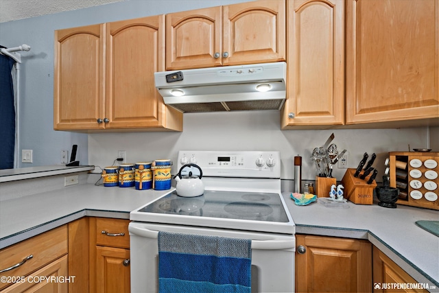 6901 Shane Pl, Anchorage, AK 99507 - photo 19