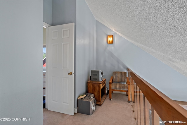 6901 Shane Pl, Anchorage, AK 99507 - photo 28