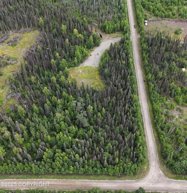 26227 W Randal Dr, Willow, AK 99688 - photo 13