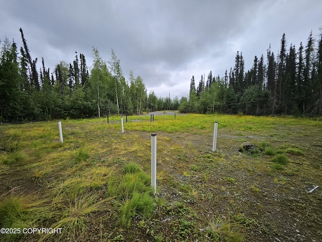 26227 W Randal Dr, Willow, AK 99688 - photo 5