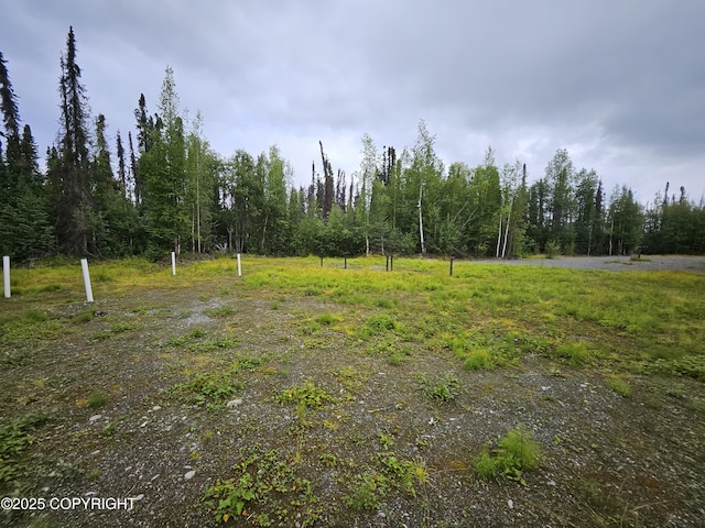 26227 W Randal Dr, Willow, AK 99688 - photo 6