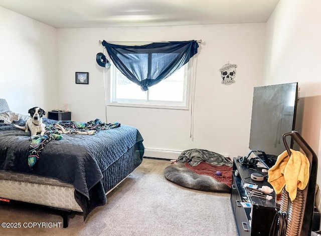 808 N Flower St, Anchorage, AK 99508 - photo 10