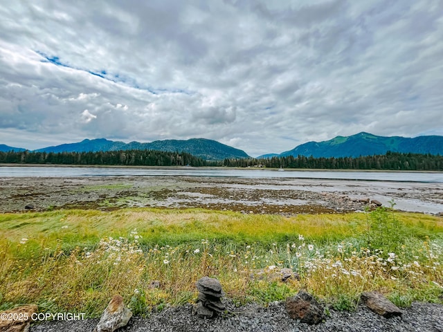 250 Mitkof Hwy, Petersburg, AK 99833 - photo 2