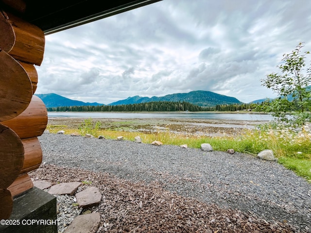 250 Mitkof Hwy, Petersburg, AK 99833 - photo 6