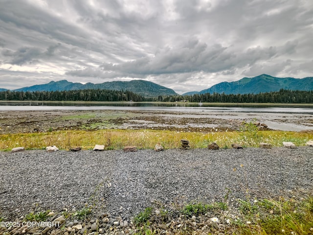 250 Mitkof Hwy, Petersburg, AK 99833 - photo 23
