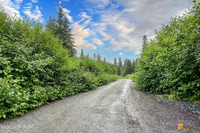 12121 Ginami St, Anchorage, AK 99516 - photo 43