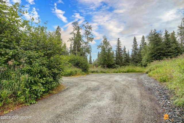12121 Ginami St, Anchorage, AK 99516 - photo 44