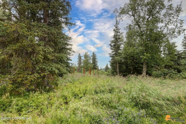 12121 Ginami St, Anchorage, AK 99516 - photo 40