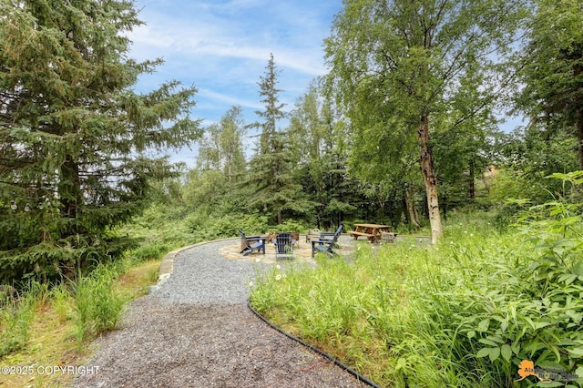12121 Ginami St, Anchorage, AK 99516 - photo 33