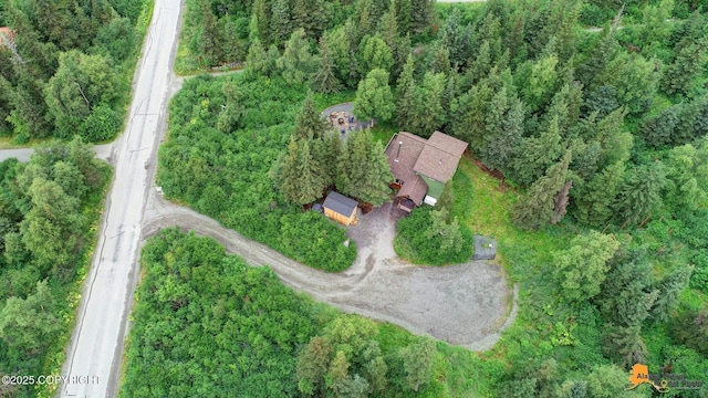 12121 Ginami St, Anchorage, AK 99516 - photo 49