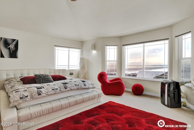 6100 Prominence Pointe Dr, Anchorage, AK 99516 - photo 28