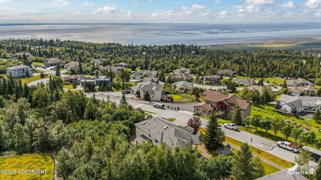 6100 Prominence Pointe Dr, Anchorage, AK 99516 - photo 52