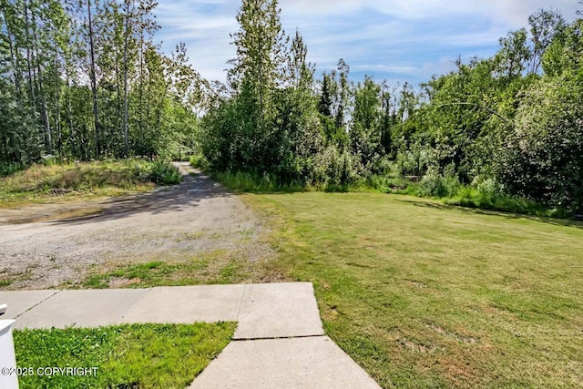551 E Barra Loop, Wasilla, AK 99654 - photo 28