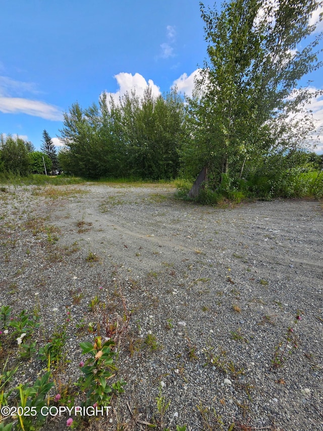 319 E Arctic Ave, Palmer, AK 99645 - photo 4