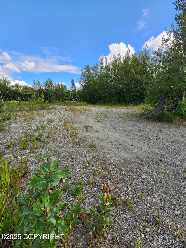 319 E Arctic Ave, Palmer, AK 99645 - photo 5