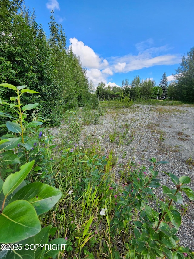 319 E Arctic Ave, Palmer, AK 99645 - photo 6