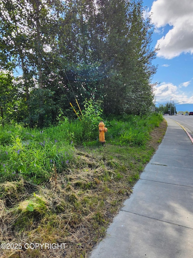 319 E Arctic Ave, Palmer, AK 99645 - photo 8