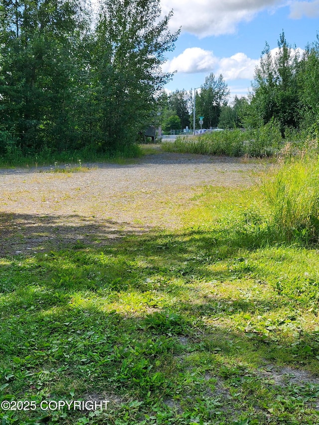 319 E Arctic Ave, Palmer, AK 99645 - photo 9