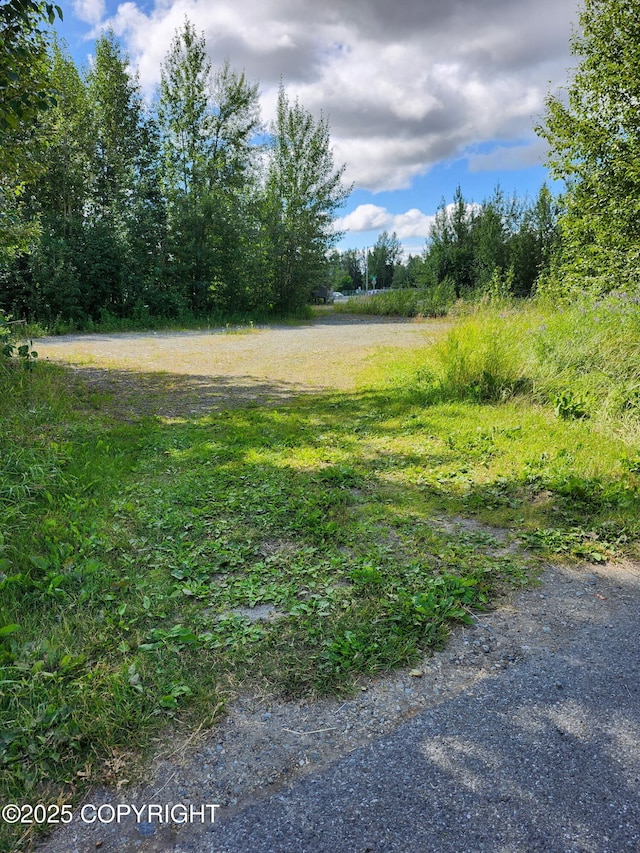 319 E Arctic Ave, Palmer, AK 99645 - photo 10