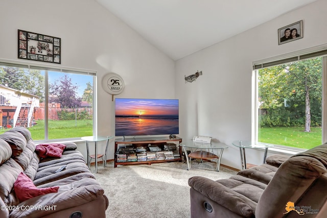 8207 Mentra St, Anchorage, AK 99518 - photo 26