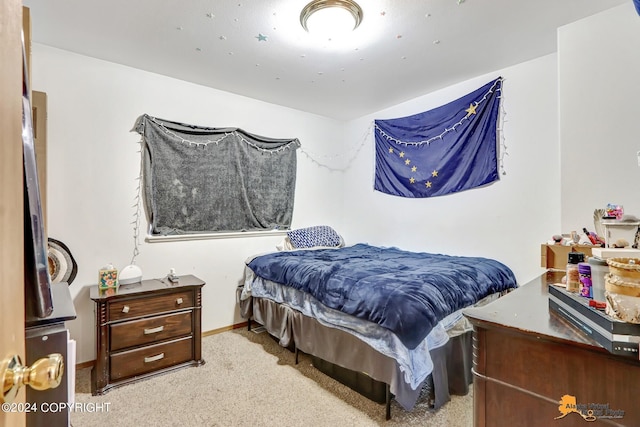 8207 Mentra St, Anchorage, AK 99518 - photo 33