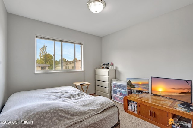 8207 Mentra St, Anchorage, AK 99518 - photo 41