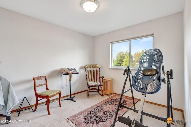8207 Mentra St, Anchorage, AK 99518 - photo 47