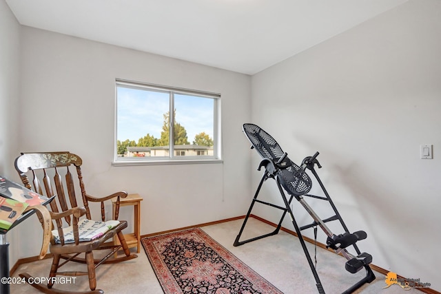 8207 Mentra St, Anchorage, AK 99518 - photo 48