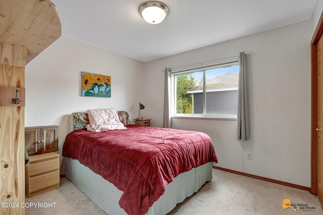 8207 Mentra St, Anchorage, AK 99518 - photo 53