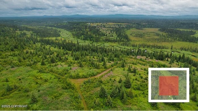 67381 Stoddard Ave, Anchor Point, AK 99556 - photo 12