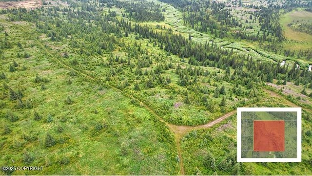 67381 Stoddard Ave, Anchor Point, AK 99556 - photo 14