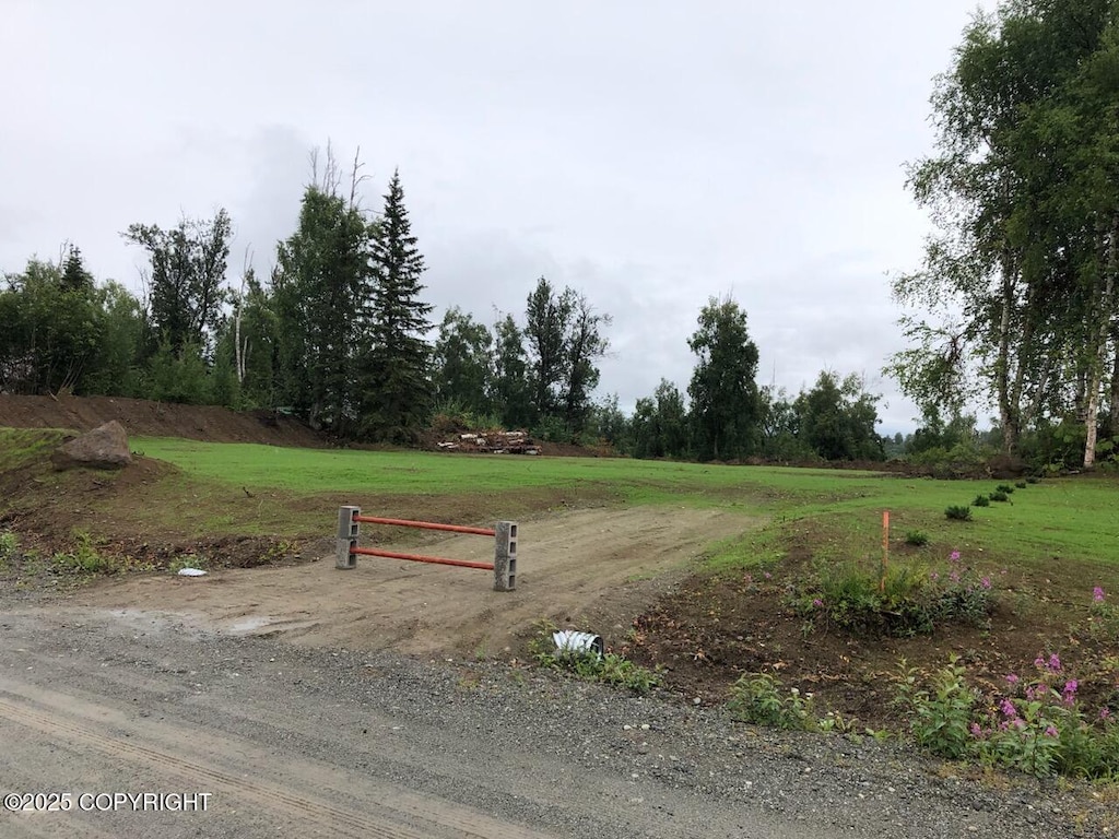 17562 W Bluebill Ave, Wasilla, AK 99623 - photo 3