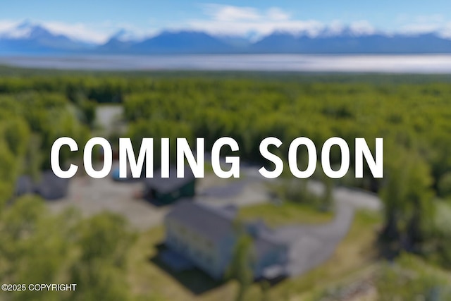 8007 S Knik Knack Mud Shack Rd, Wasilla, AK 99623 - photo 1