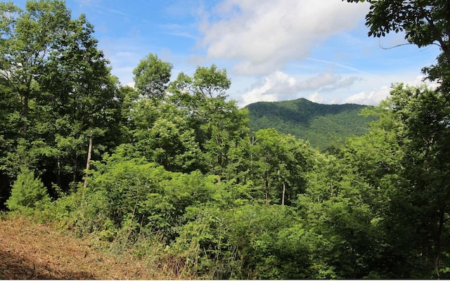 LT23 Shepherd Dr, Hayesville NC, 28904 land for sale