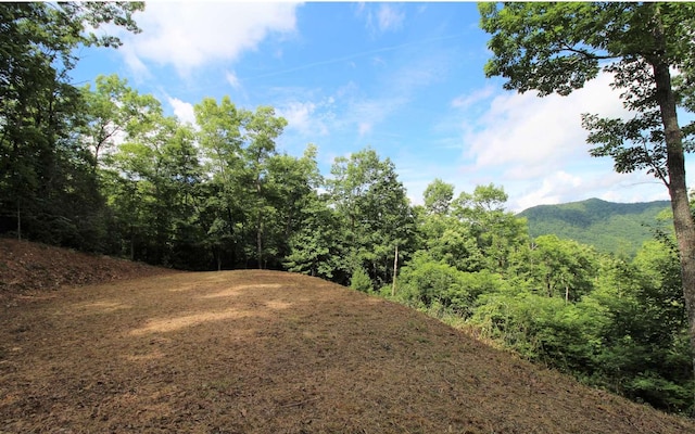 Listing photo 3 for LT23 Shepherd Dr, Hayesville NC 28904