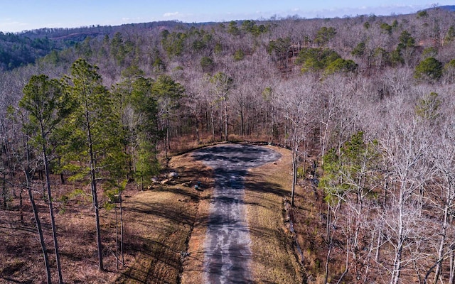 Red Hawk Ln, Ellijay GA, 30540 land for sale