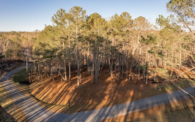 183 & Riv Lots, Ellijay GA, 30540 land for sale